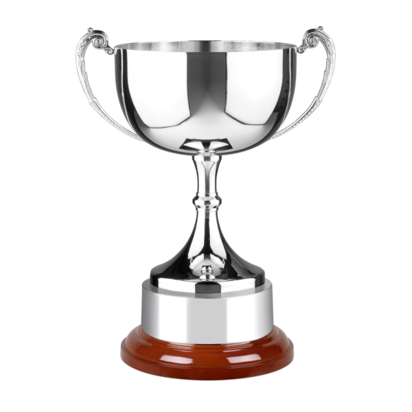 31cm Swatkins Cup with Wood Plinth & Band