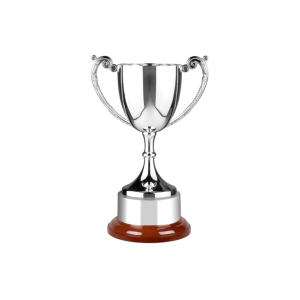 Swatkins Cup with Wood Plinth & Band