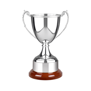 Swatkins Celtic Silver Plated Cup