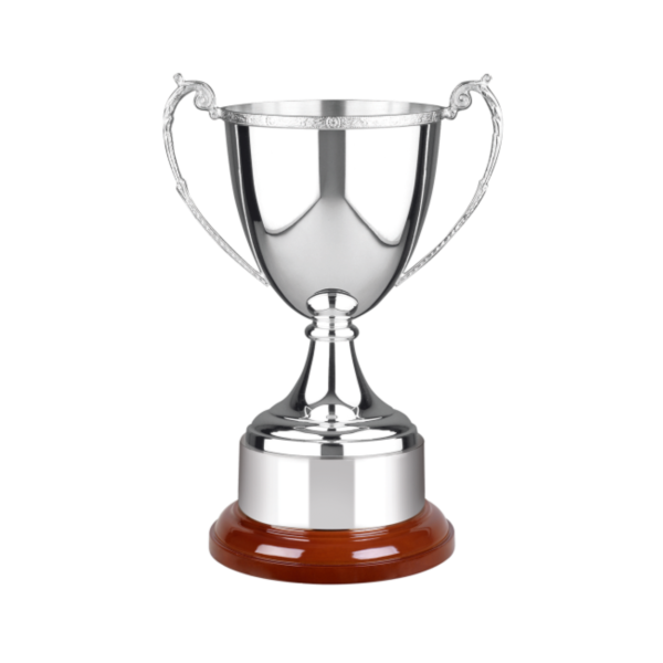 Swatkins Celtic Silver Plated Cup