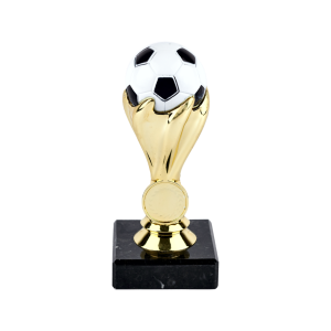 Soccer Ball Trophy