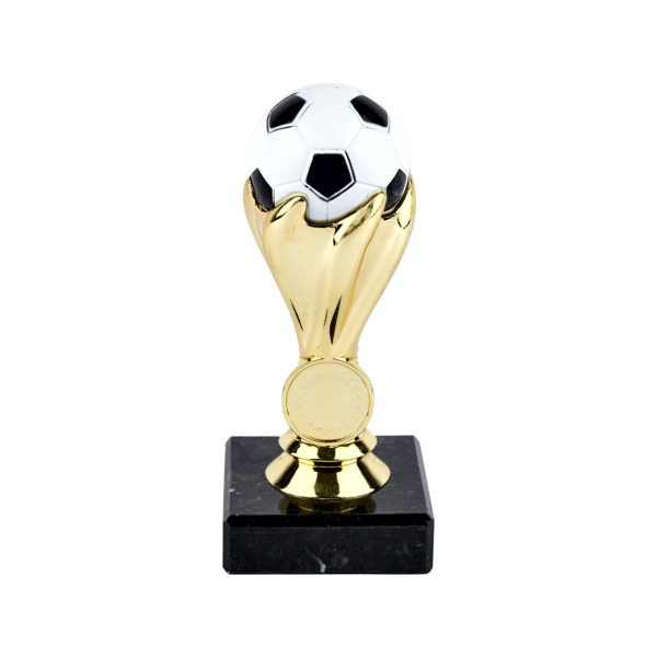 Soccer Ball Trophy
