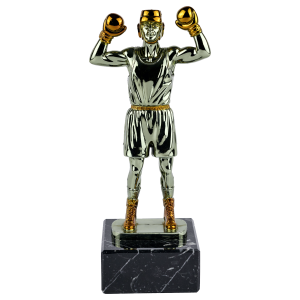 24cm Boxing Trophy
