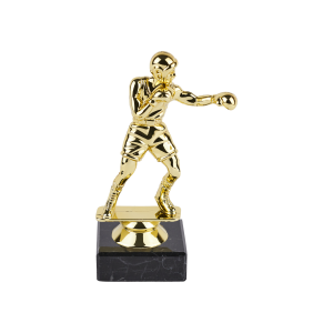 Gold Boxing Trophy Male