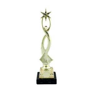 Trophy on Black Marble