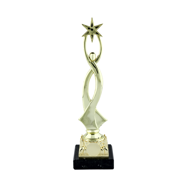 Trophy on Black Marble