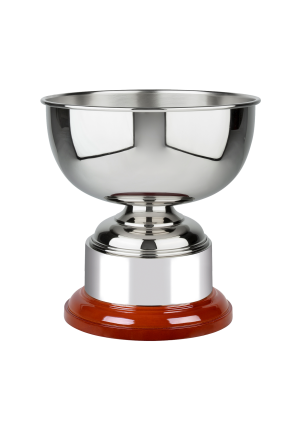 Bowl on Wood Plinth