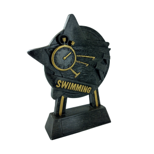 15cm Star Swimming Award