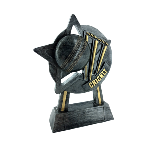 15cm Star Cricket Award