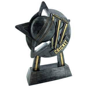 18cm Star Cricket Award