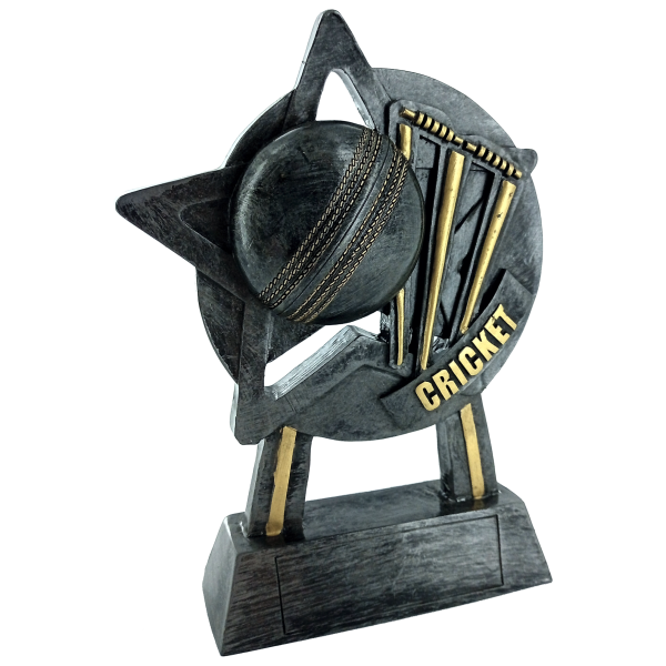 18cm Star Cricket Award