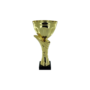 Gold Conical Cup