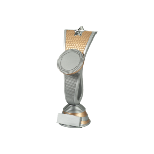Resin Award with Star to suit Blaze