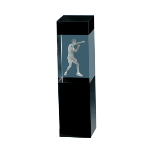 Boxing Crystal Award