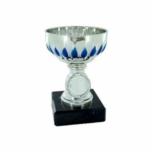 Silver Blue Plastic Cup