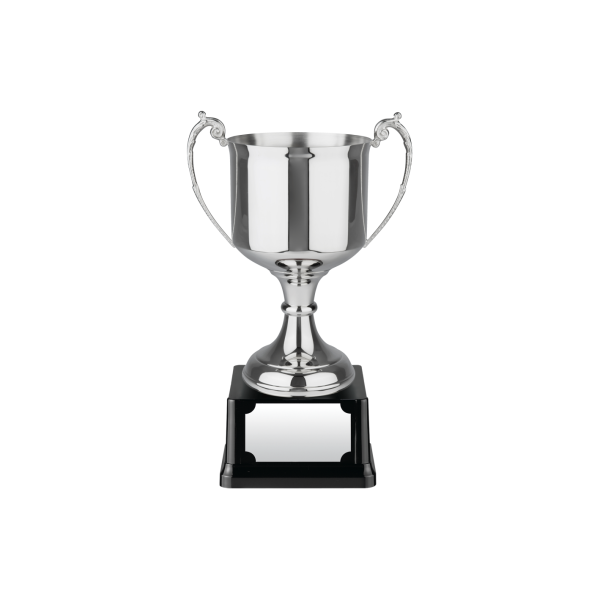 Swatkins Trad Cup on Square Plinth