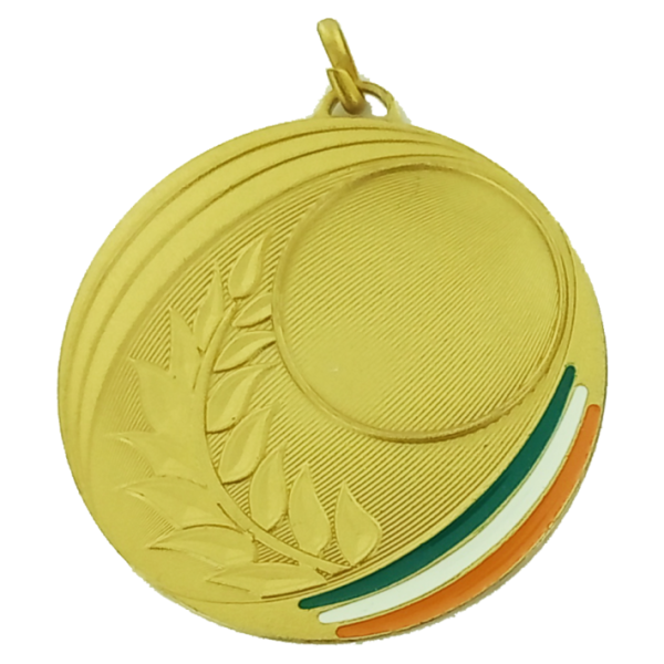 50mm Medal with GWO Stripe
