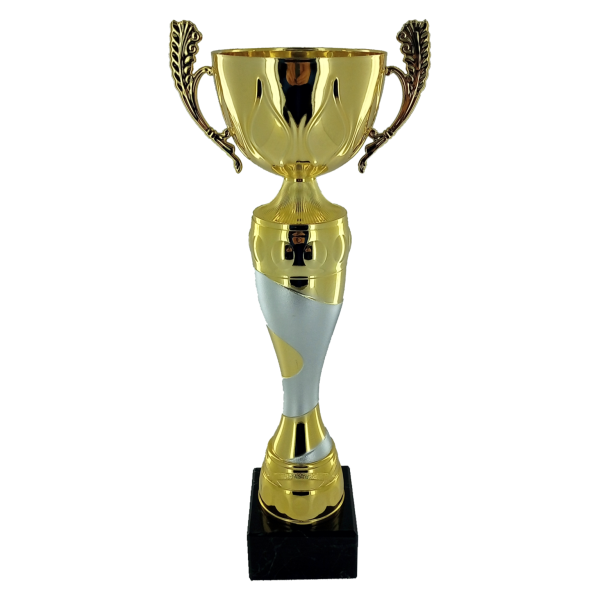 41cm Silver & Gold Metal Cup Trophy