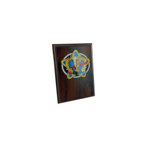 Victory Cup Plaque