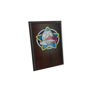 Soccer Plaque