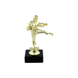 Gold Karate Trophy Female