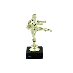 Gold KarateTrophy Male