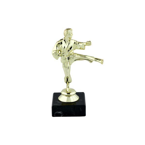 Gold KarateTrophy Male