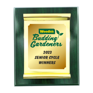 30cm Green Scroll Plaque-Full Colour Print