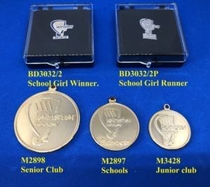 Leinster Hockey Extra Medals