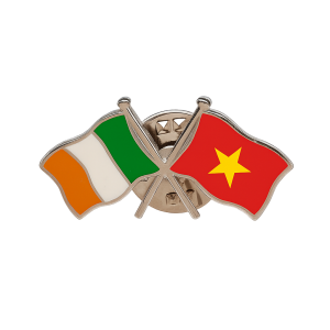 Ireland - Vietnam Flag Pin