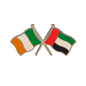 Ireland - UAE Flag Pin
