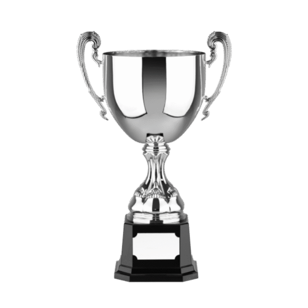 Swatkins Euro Cup