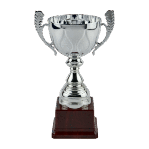 Silver Metal Cup on Brown Vase (V202S)