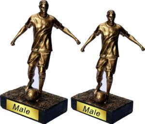 Male Soccer Resin