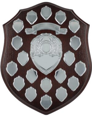 Shield with Strut