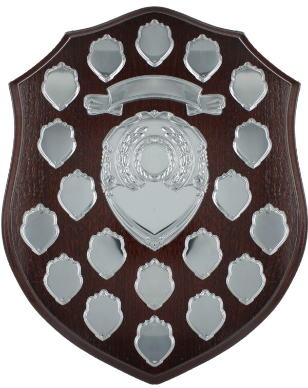 Shield with Strut