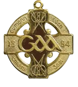Gold GAA medal